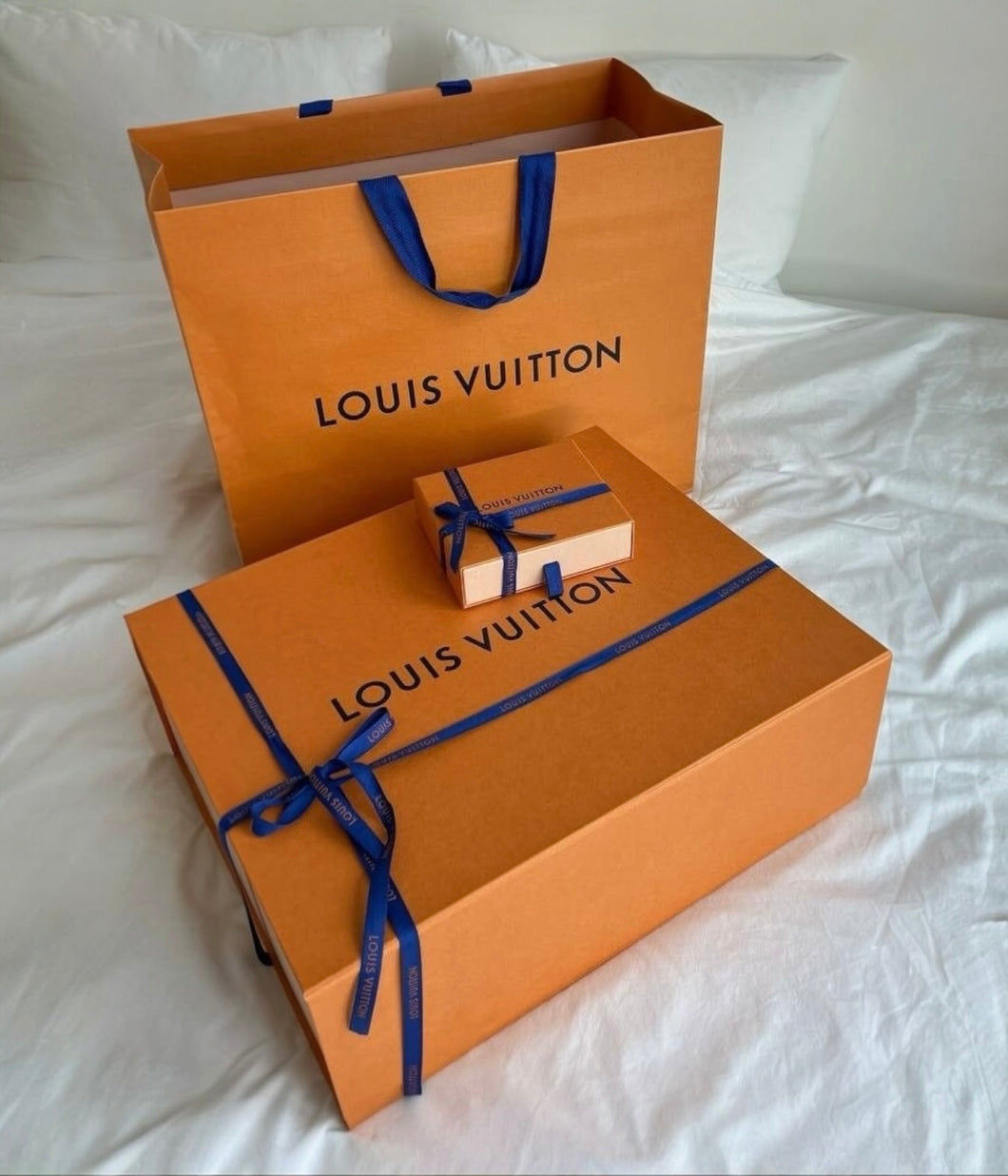 Boîte + dustbag Louis Vuitton