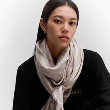 Load image into Gallery viewer, Louis Vuitton scarf
